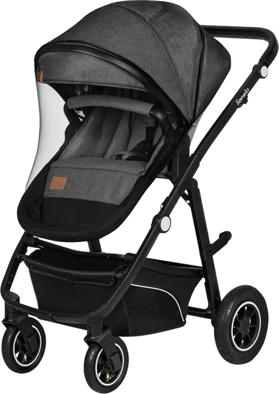 Коляска дитяча 3 в 1 Lionelo Bianka Grey Stone